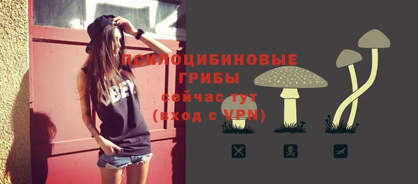 крисы Абдулино