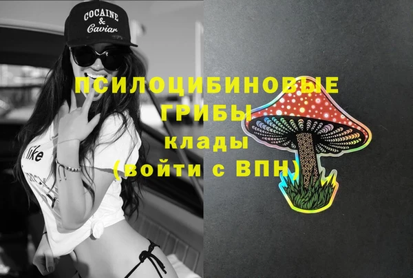 PSILOCYBIN Абаза