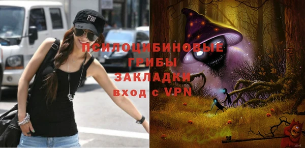 PSILOCYBIN Абаза